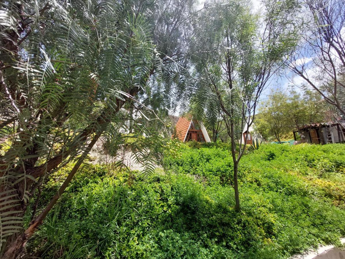 Lodge Colibri Eco &