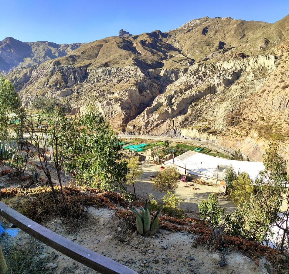 Colibri Eco & Lodge