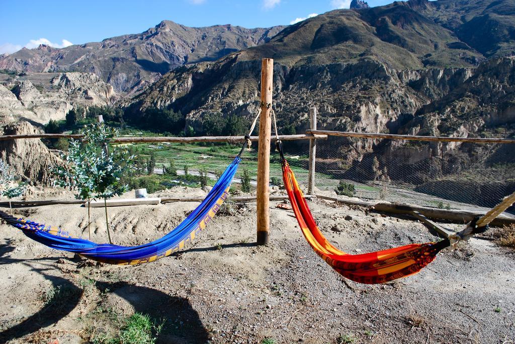 Colibri Eco & Lodge *